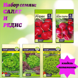 Набор семян: салат и редис