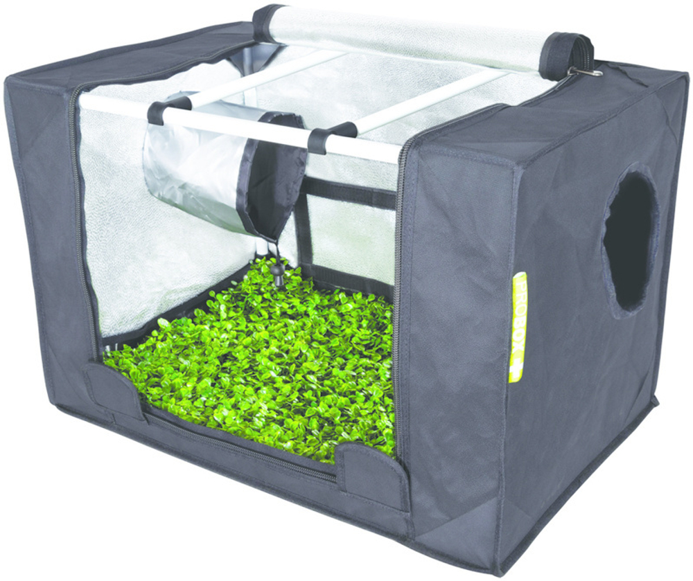 PROBOX PROPAGATOR