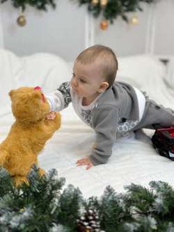 Флисовый костюм Лапки