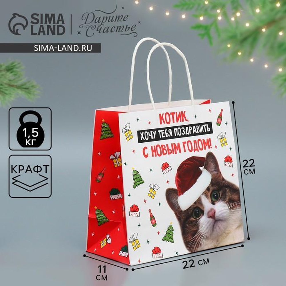 Пакет подарочный крафтовый "Котик" 22×22×11см (Дарите Счастье)