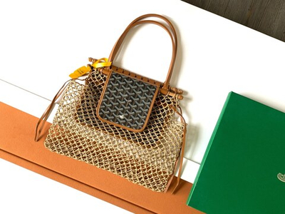 Goyard Aligre Bag