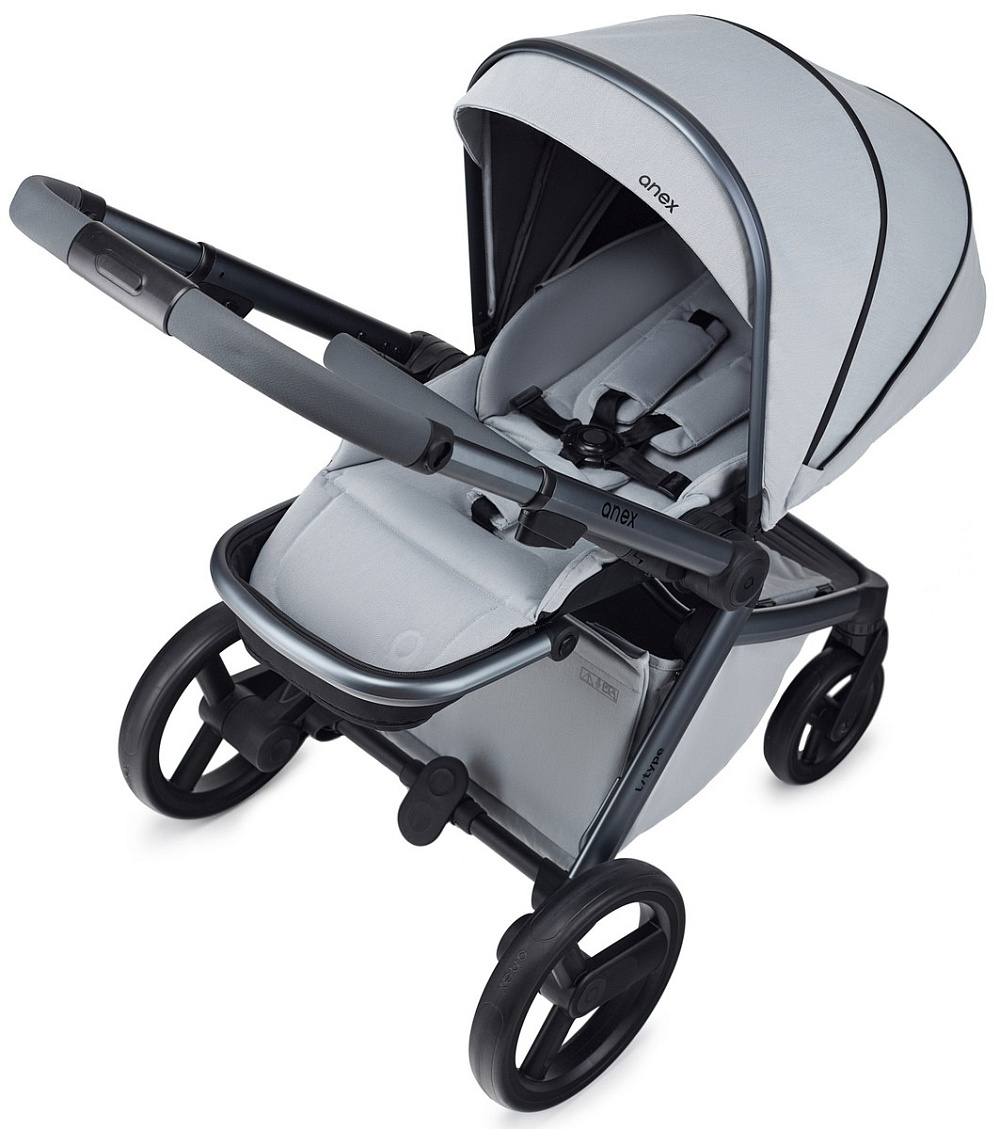 Детская коляска Anex l/type 2 в 1 lt-10t frost