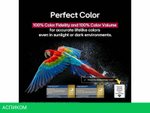 OLED телевизор LG OLED evo AI C5 OLED83C5RLA