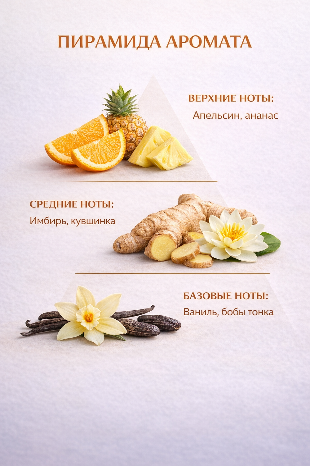 Fruity ginger (Фруктовый имбирь)