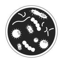 Биологические консерванты