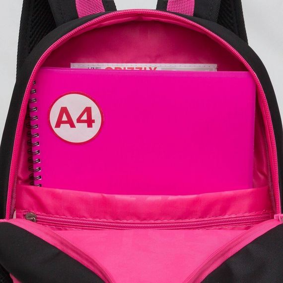 Çanta \ Bag \ RG-463-1 Рюкзак школьный (/2 черный-фуксия)