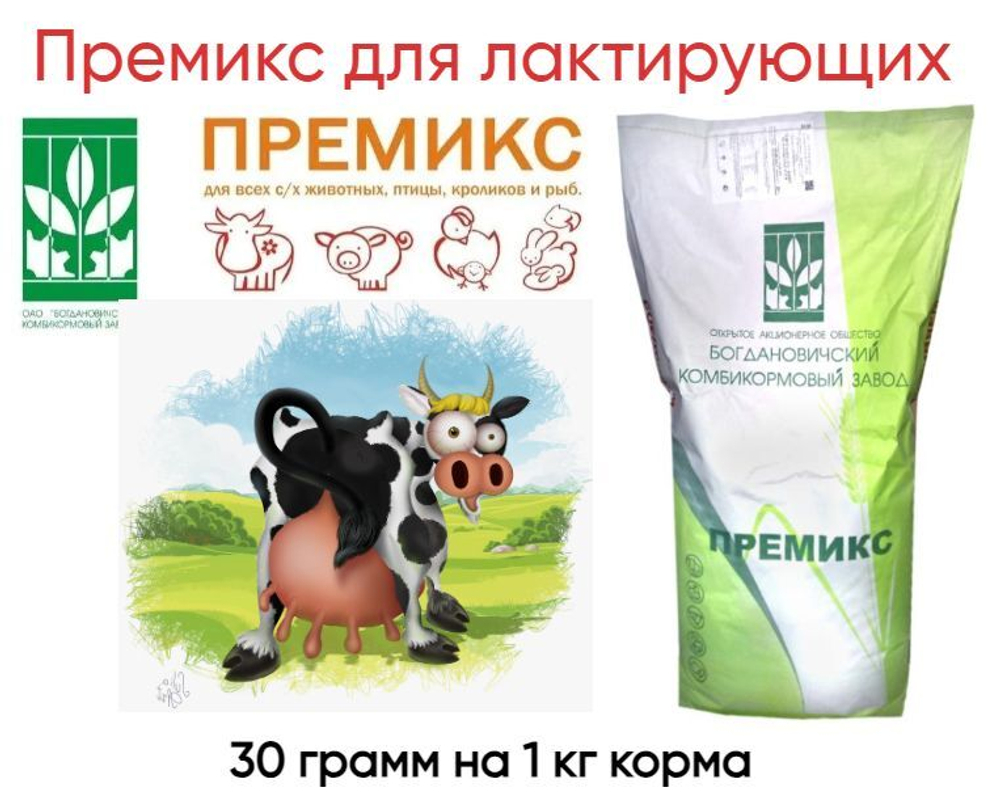 Премикс для лактирующих коров П-60 3КМ 166707 (198909) Богдановичский комбикормовый завод, 20 кг