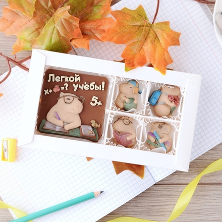 Набор шоколадный "Легкой учебы" #1 / Подарок на 1 сентября