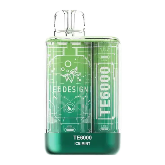 Elf Bar TE6000 - Ice Mint (5% nic)