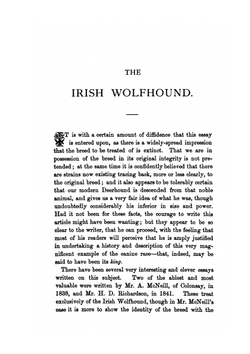 The Irish Wolfhound | G.A. Graham