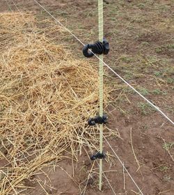 Проволока д/ электропастуха 1,2 мм 1000 м