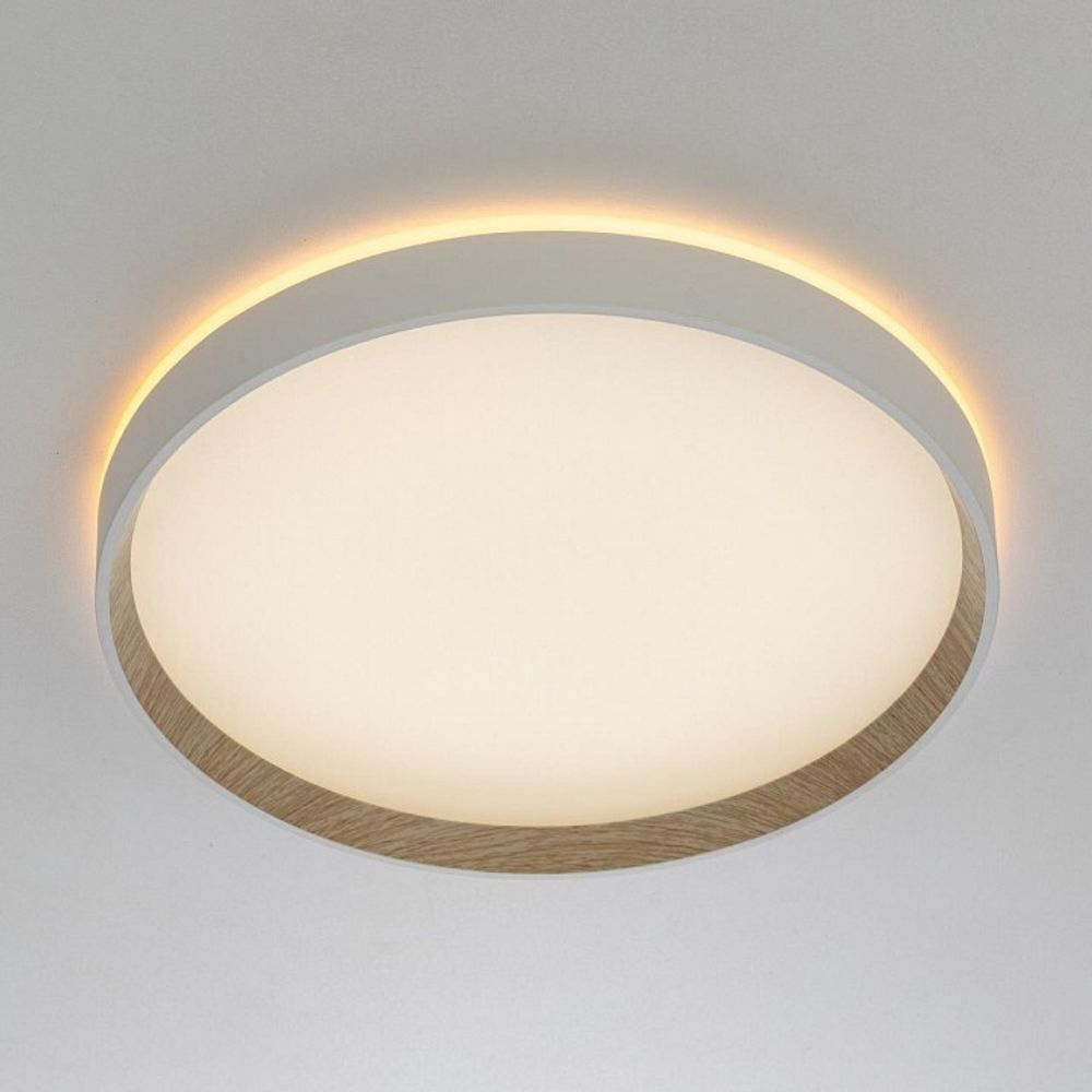 Накладной светильник Citilux ETALON CL750320R