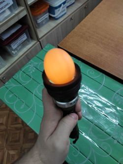 Овоскоп "Цыпленок 2"