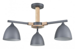 Люстра на штанге Lumion Colange 8096/3C