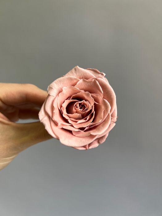 Роза классическая светло-коричневая d=3,5-4 см (упак 10 шт)