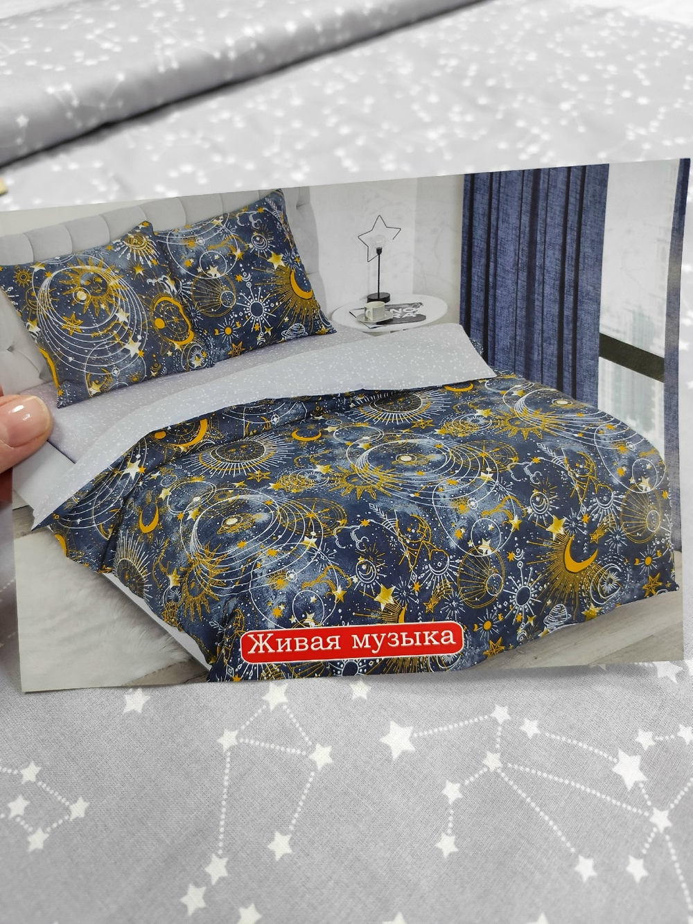 Поплин / Живая музыка компаньон