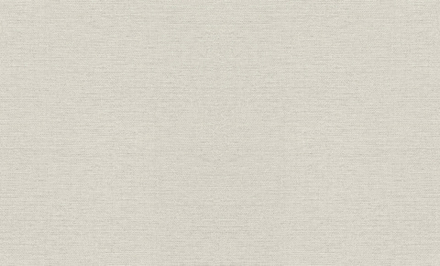 Rasch 1.06m*10m 970623 Jolly