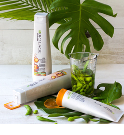 Biolage Advanced Oil Renew - очищающий шампунь для поврежденных волос /   250  ml  / GTIN 3474636642311
