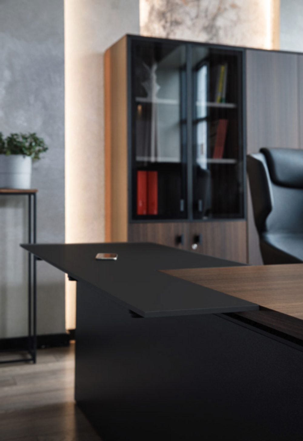 Шкаф для бумаг со стеклом двойной и гардероб RENZ (РЕНЦ)