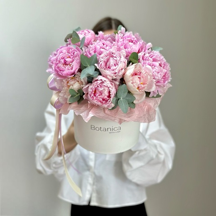 15 ароматных пионов «Сара Бернар» в шляпной коробке. Букет 1157