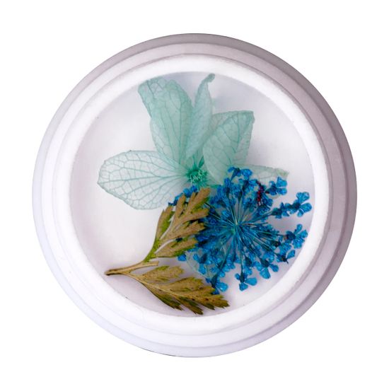 Сухоцветы в круглой баночке №3