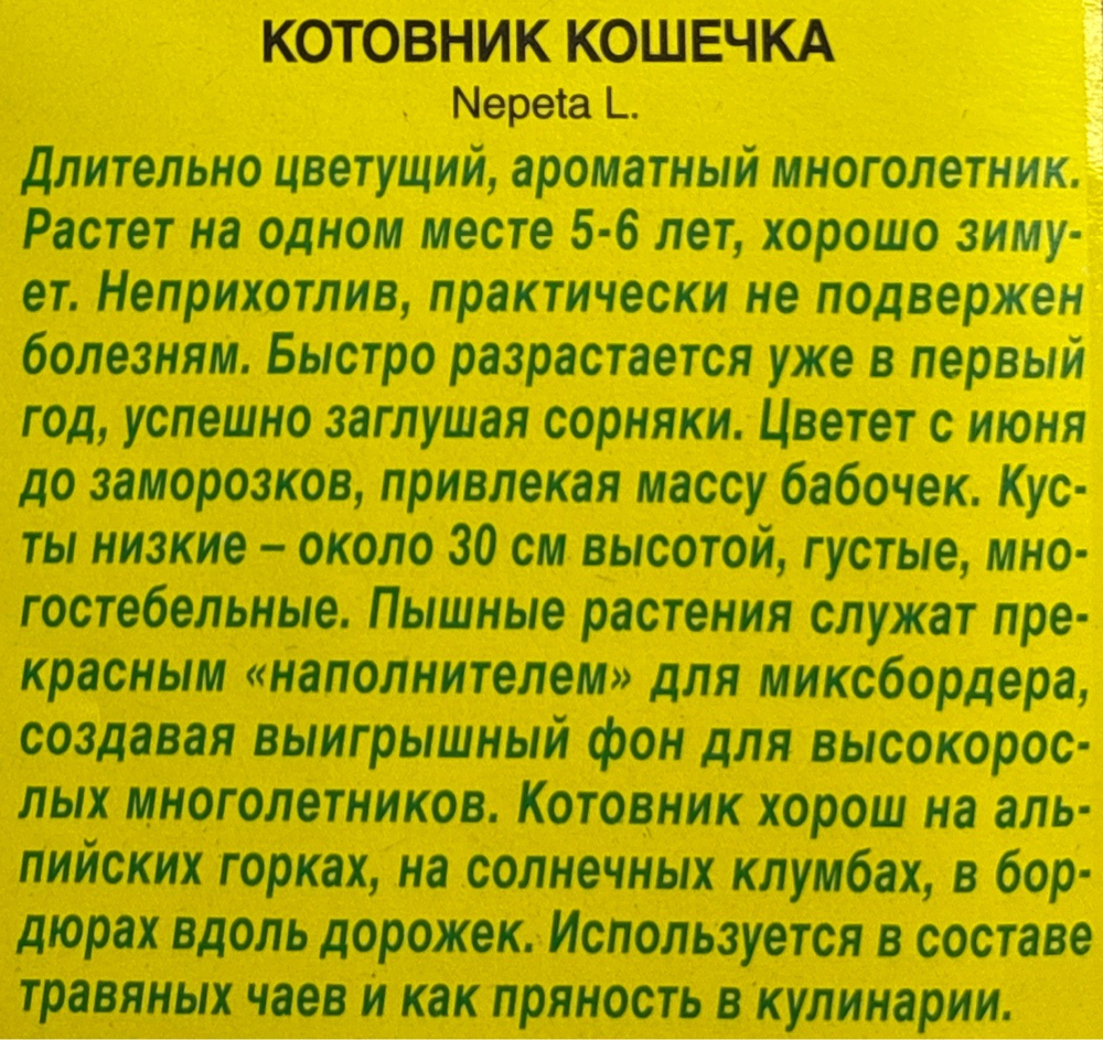 Котовник Кошечка СМЦ-791