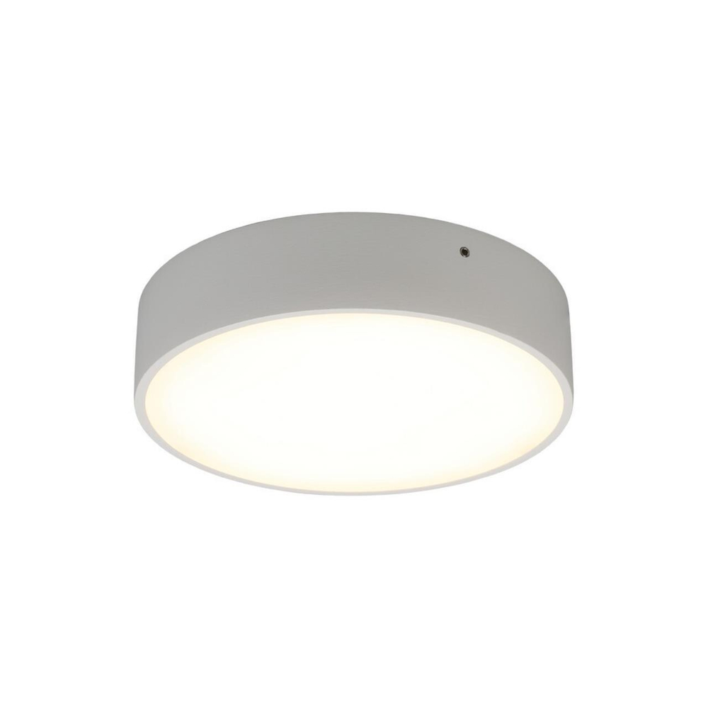 Потолочный светодиодный светильник Aployt Evon APL.0113.09.18