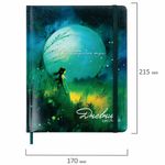 Дневник 1-11 класс 48 л., кожзам (твердая с поролоном), печать, резинка, конверт, BRAUBERG, "Мечты", 106949