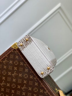 Louis Vuitton Capucines Mini
