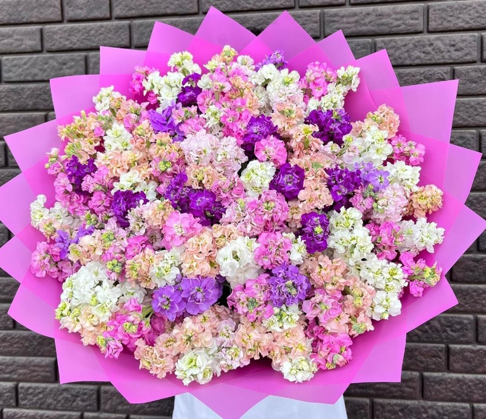 Микс из 59 Матиол разных цветов