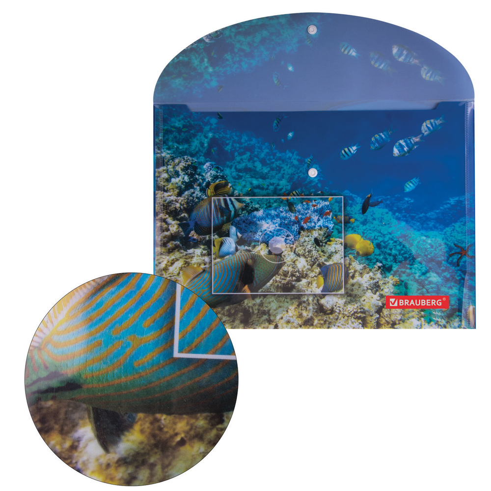 Папка-конверт с кнопкой BRAUBERG "SEA WORLD" А4 160 мкм до 100 листов цветная печать (12 штук в упаковке)