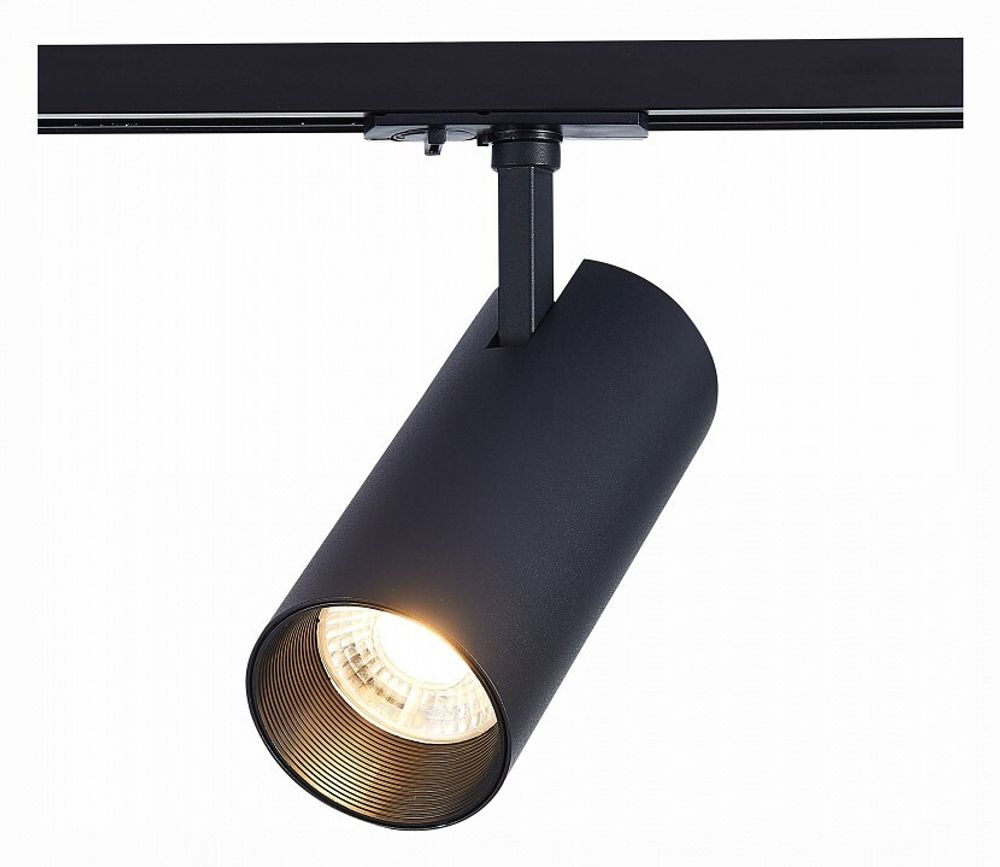 Светильник на штанге ST-Luce Mono ST350.436.30.36