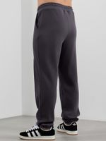 Брюки мужские Интер-3 Виотекс ГРАФИТОВЫЙ