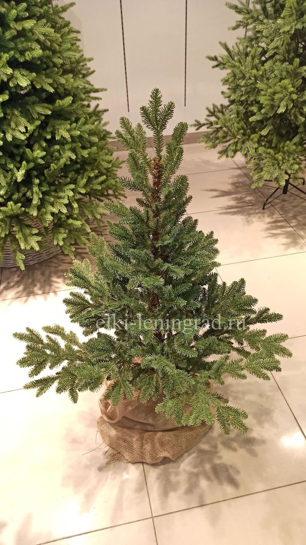 Искусственная ель на ножке «Датская» (хвоя Литая) 240 см / 2.4 м