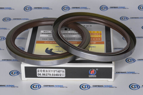 Сальник передней ступицы F3000 113х140х14 06.56279.0340