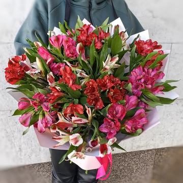 Букет из 17 альстромерий