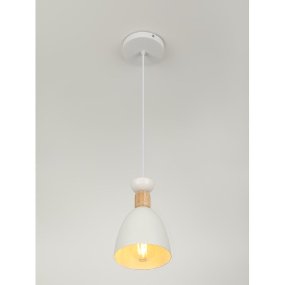 Светильник подвесной (подвес) Rivoli Catherine 5109-201 1хЕ27 60 Вт лофт-кантри | Rivoli