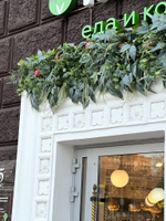 Озеленение входной группы искусственными растениями магазина "Табрис"  г.Краснодар