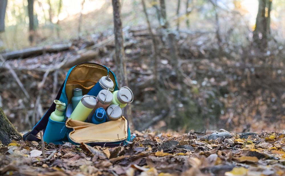 Термокружка Klean Kanteen TKWide Twist Cap 20oz (592 мл) Corsair