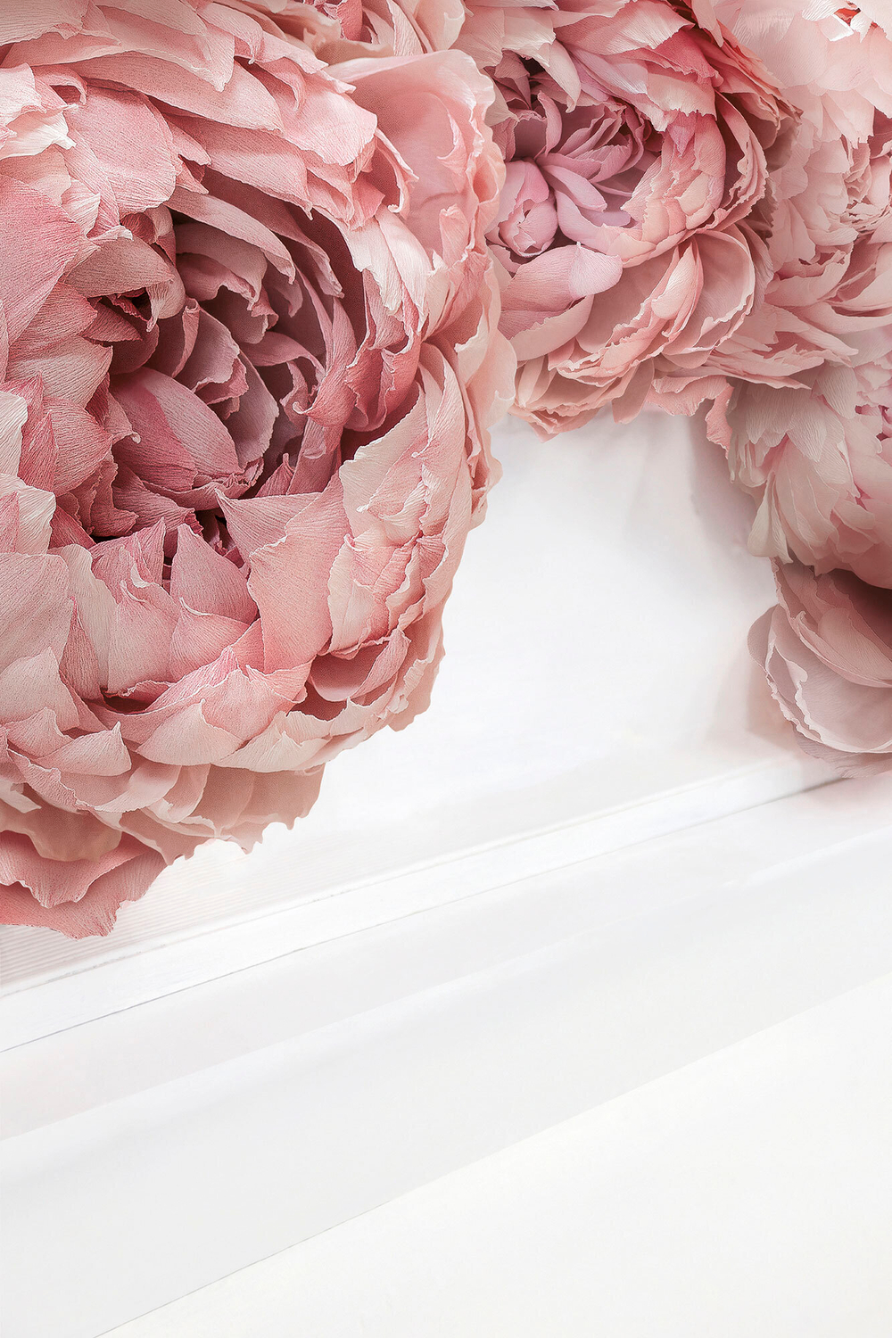 Коллекция Цветы