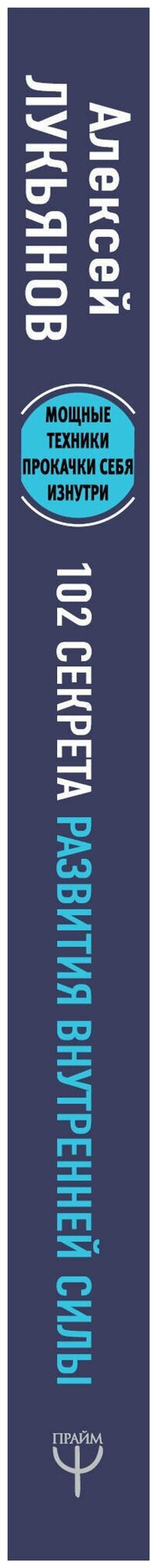 102 секрета развития внутренней силы. Мощные техники прокачки себя изнутри