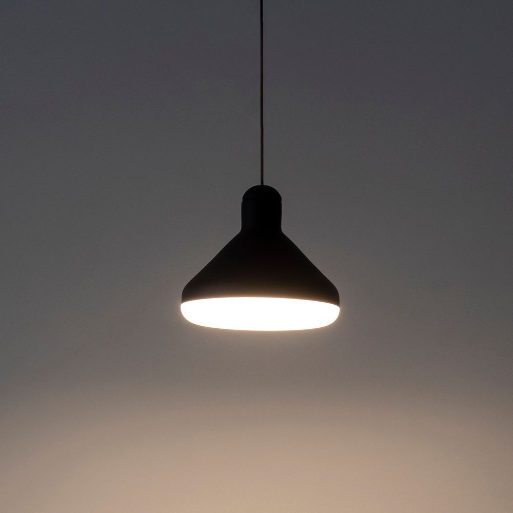 7310 Подвесной светильник ANTARES