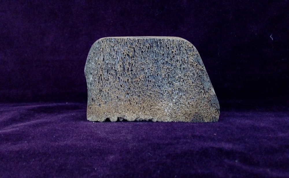 Экран "Мамонт", из кости