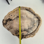 Набор из окаменелого дерева 4 предм Fossil Set NF-63071 поднос 33см*39см