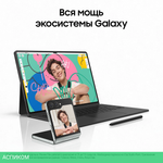 Планшет Samsung Galaxy Tab S9 12/256Gb LTE Gray (SM-X716BZAECAU)