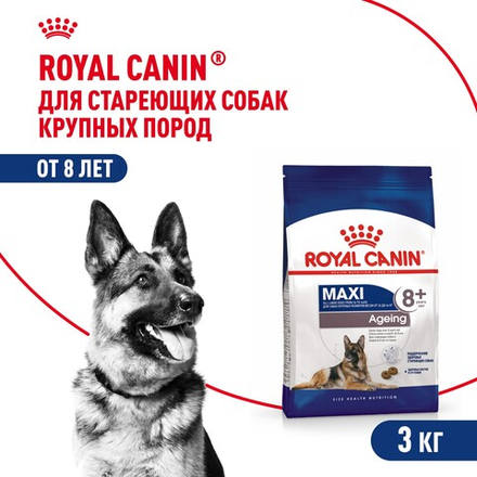 Royal Canin Maxi Ageing 8+ Макси Эйджинг Корм сухой для стареющих собак крупных пород старше 8 лет 3кг