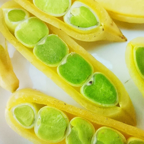 Золотой Императорский Сахарный Снеп Горох - Imperial Golden Sugar Snap Peas