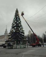 Светодинамическая елка ствольная - встроенная гирлянда: Теплый свет - "Таежная" от 11 до 21 м