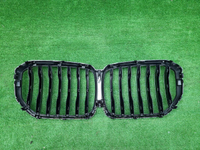 Решетка радиатора BMW X5 G05 (2018-2023)