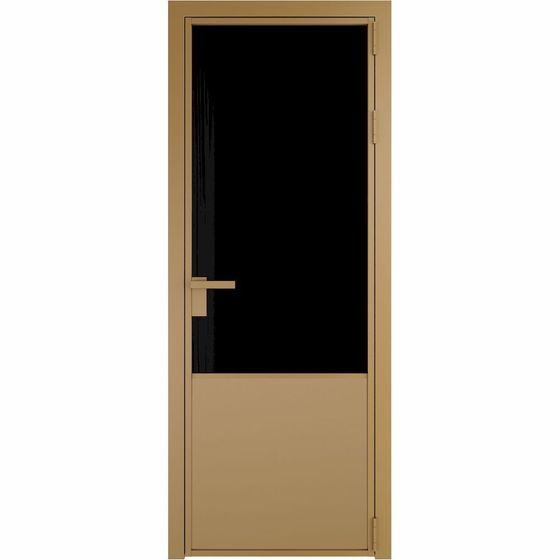 Алюминиевая дверь 19AG золото стекло чёрный триплекс